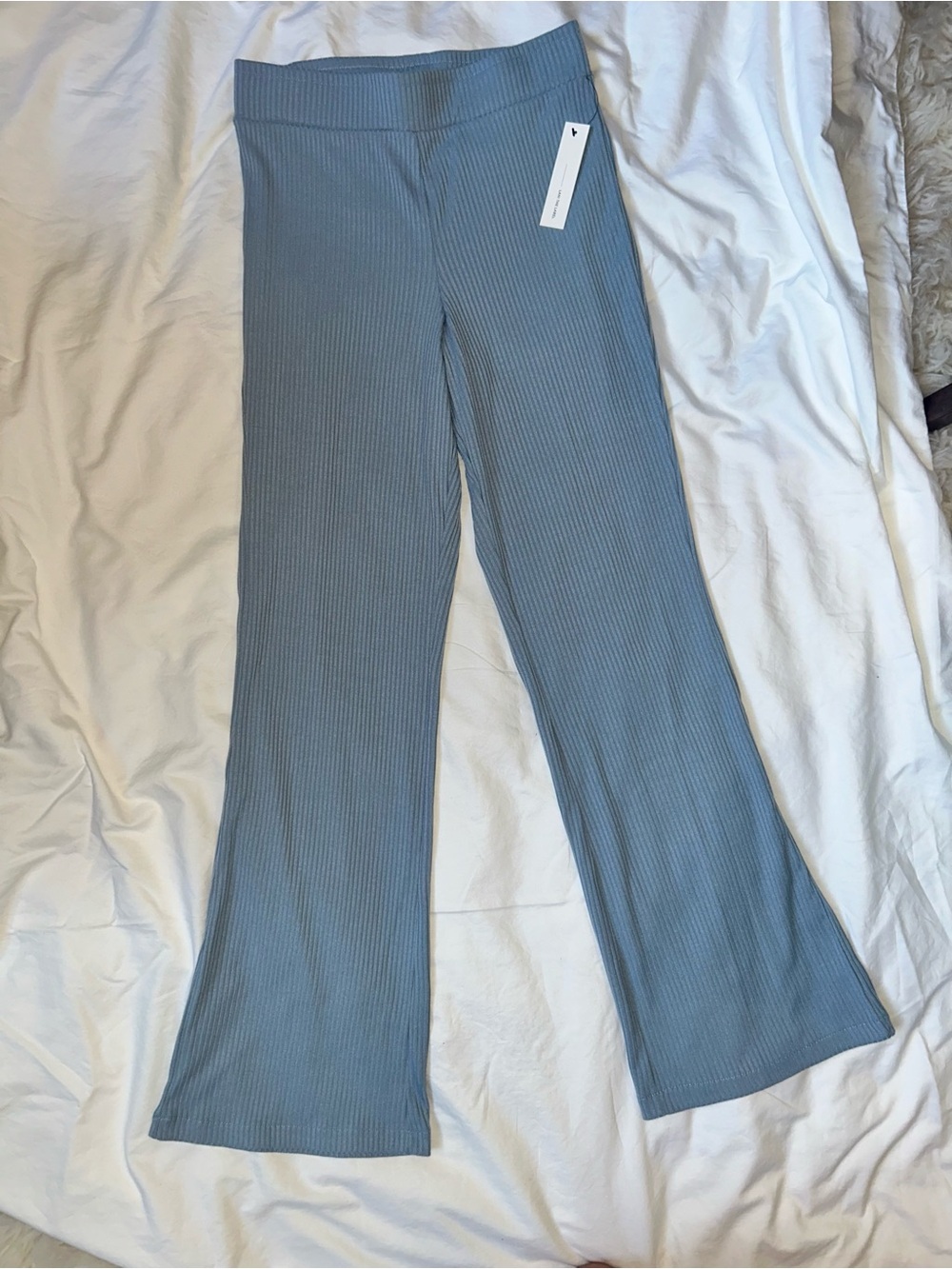 Lani the Label Ribbed Wide-Leg Pants in Dusty Blue